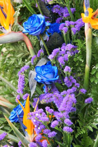 132_rose blu_tema libero